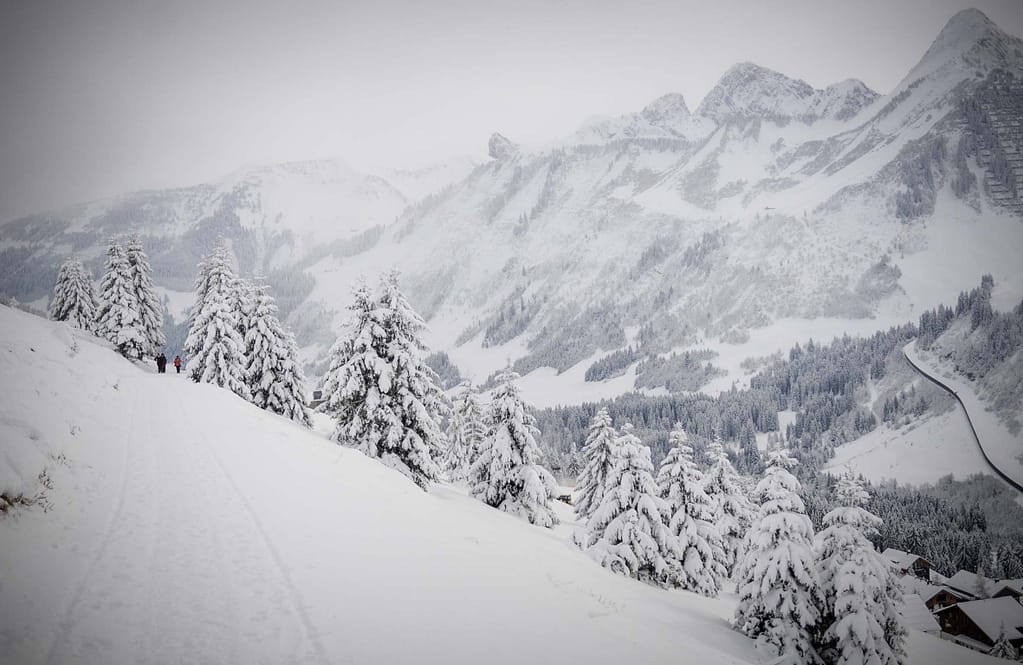 Unberührte Winterlandschaft im Bregenzerwald. Foto: Oliver Abraham