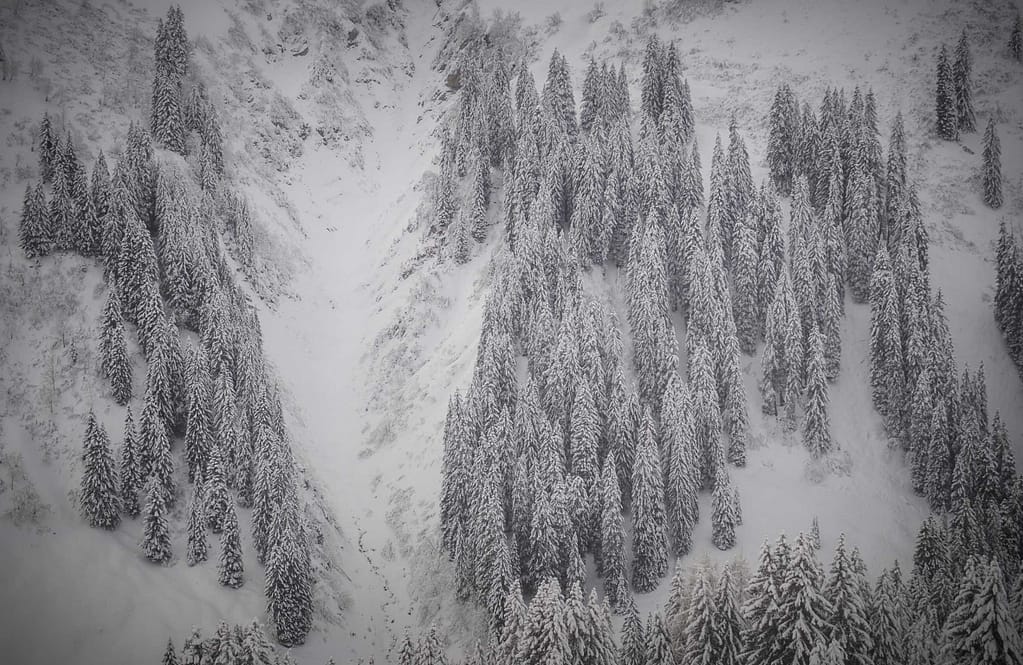 Genusswanderung im Bregenzerwald. Foto: Oliver Abraham