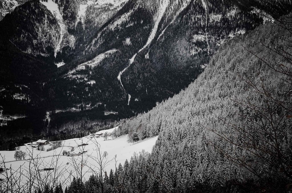 Nördlich von Ramsau startet die Schneeschuhwanderung mit Bergführer Hubert Nagl in den Bayerischen Alpen im Nationalpark Berchtesgaden.  Foto: Oliver Abraham
