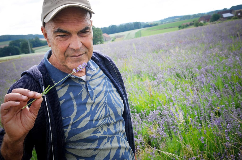 Axel Meyer nimmt Lavendel in die Hand, schaut nach den Blüten. Foto: Oliver Abraham