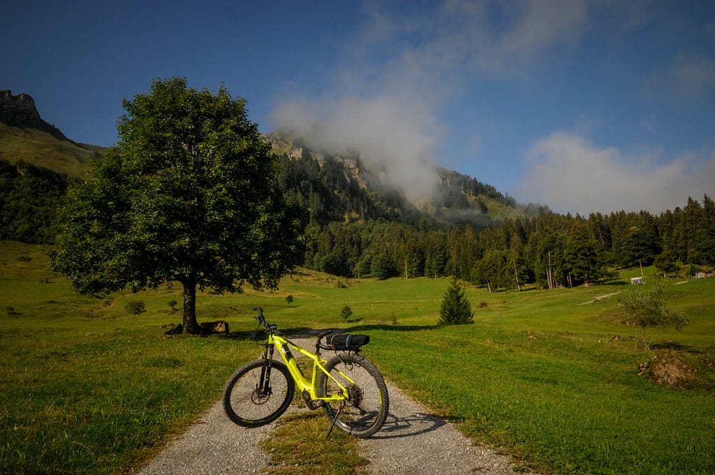 Eine Radtour in der Region Bregenzerwald ist Genuss von Landschaft, Natur und Kulinarischem. Foto: Oliver Abraham