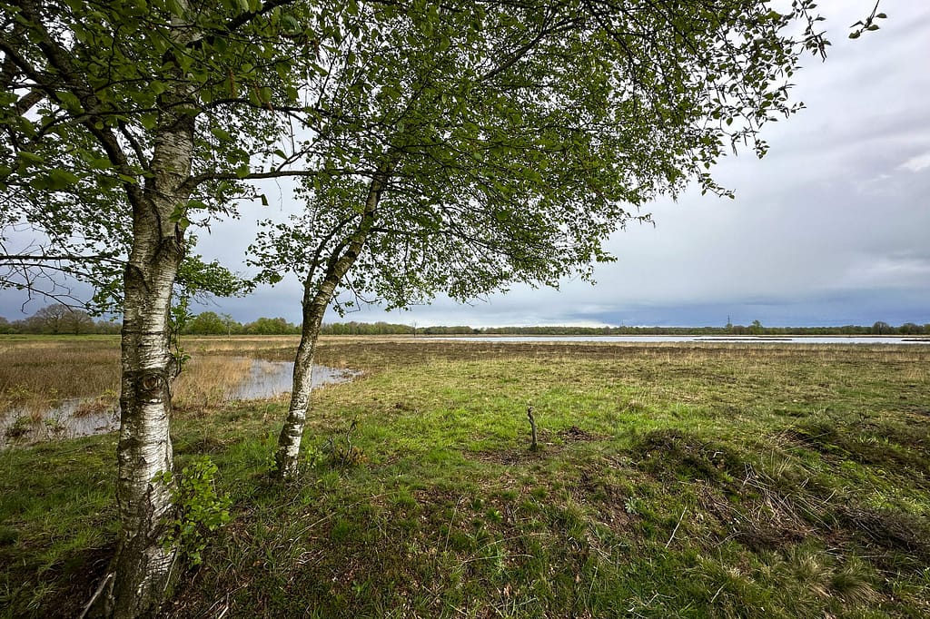 In der Provinz Drenthe suchte Vincent van Gogh die Natur. Foto: Mario Vedder