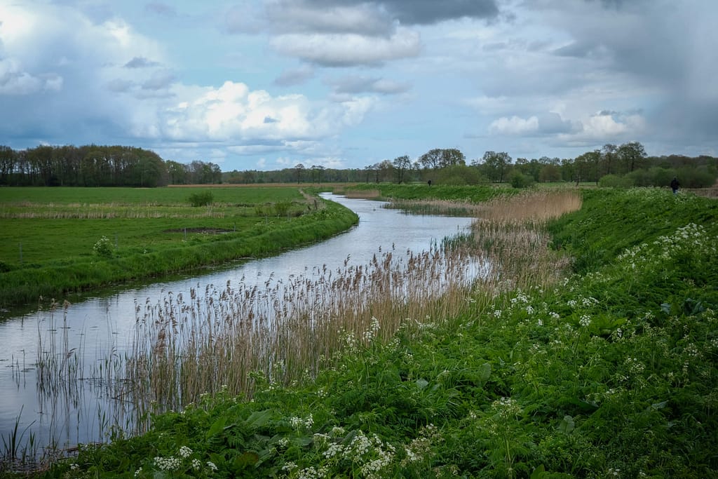 Vincent van Gogh musste dringend an die frische Luft. Foto: Mario Vedder