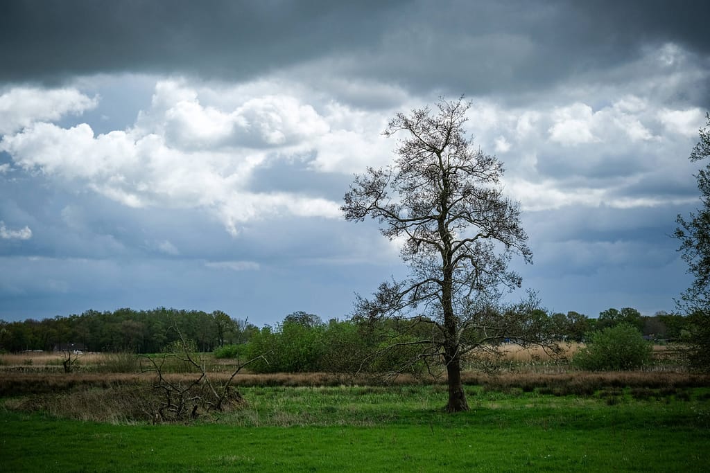 Auf den Spuren des niederländischen Malers Vincent van Gogh in der Provinz Drenthe. Foto: Mario Vedder