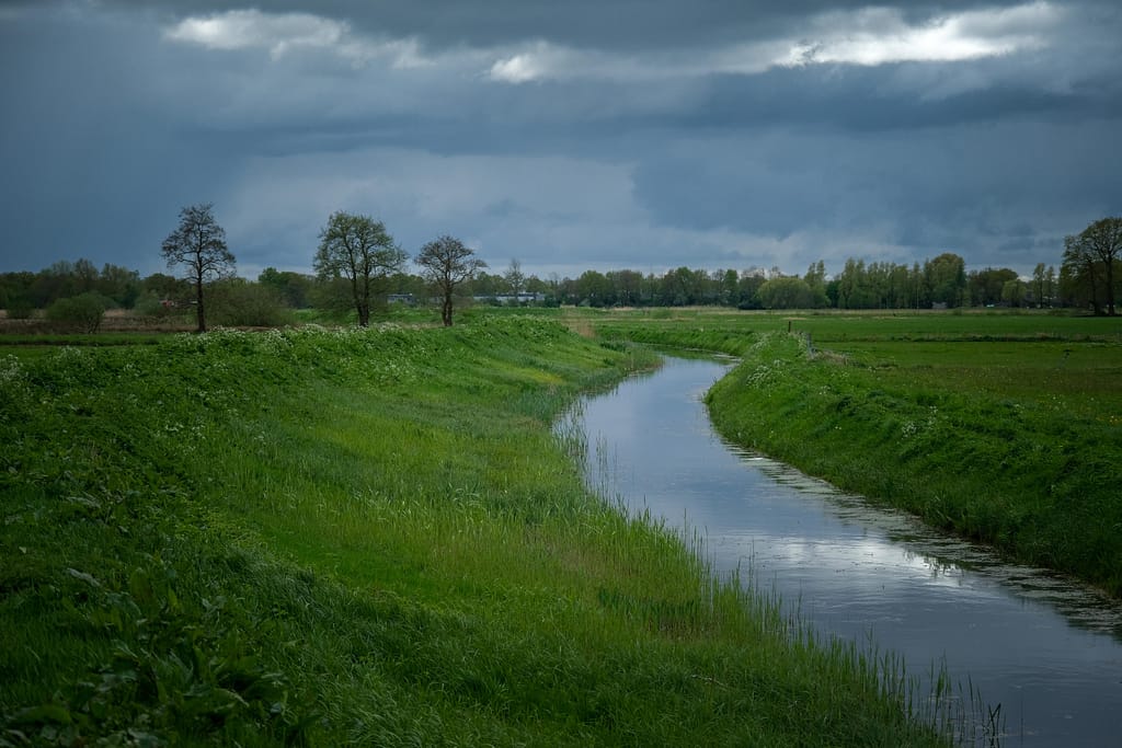 Der Pfad führt über einen Damm. Foto: Mario Vedder