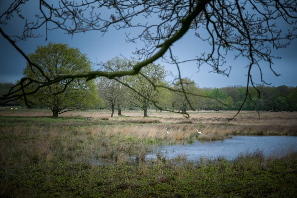 Van Gogh liebte die Natur in der Provinz Drenthe. Foto: Mario Vedder