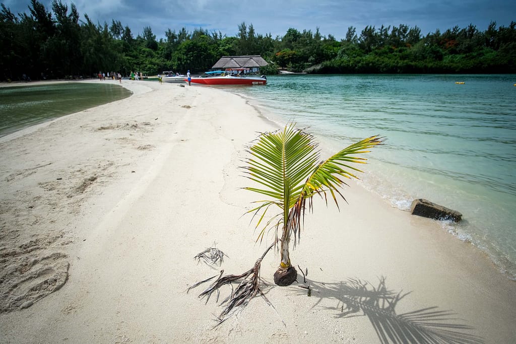 Türkisfarbenes Wasser auf der Insel Ile aux Cerfs. Foto: Mario Vedder