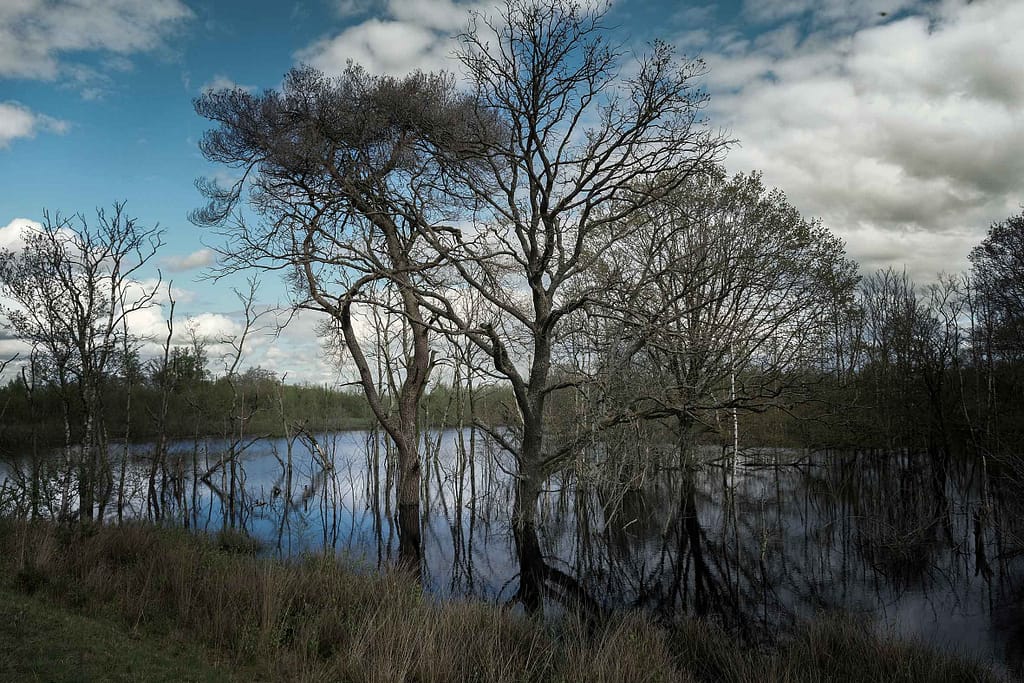 Anregende Melancholie in der Provinz Drenthe. Foto: Mario Vedder