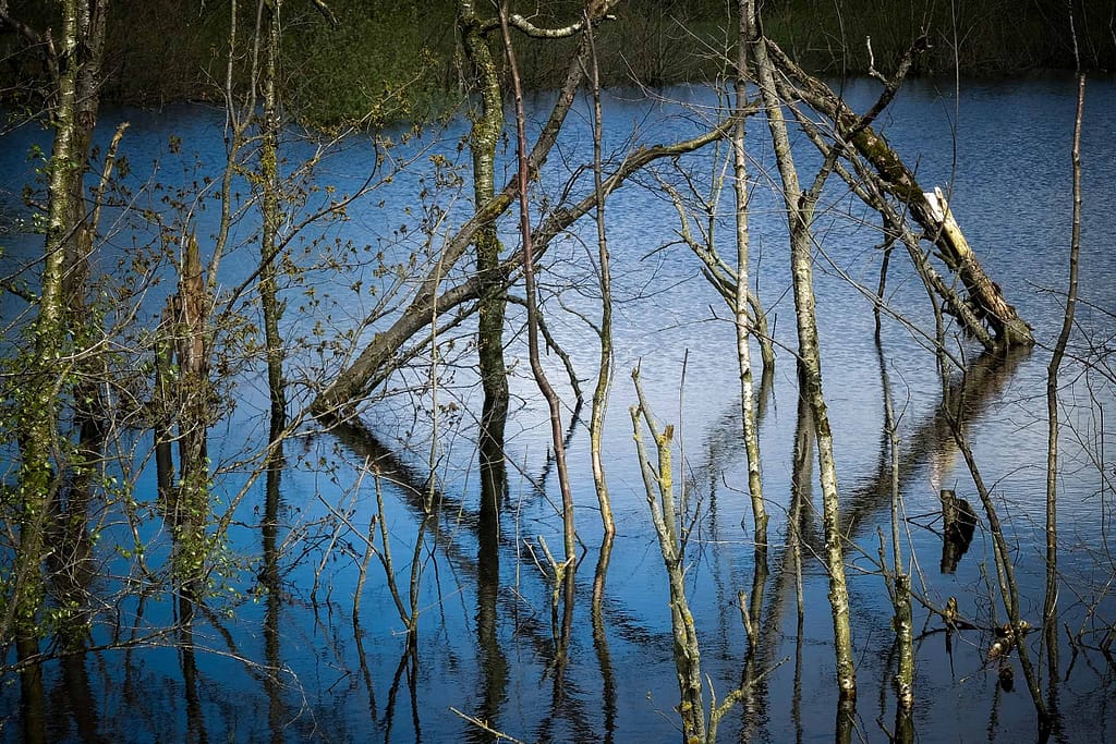 Offenes Wasser in der Provinz Drenthe atmet eisige Kälte. Foto: Mario Vedder