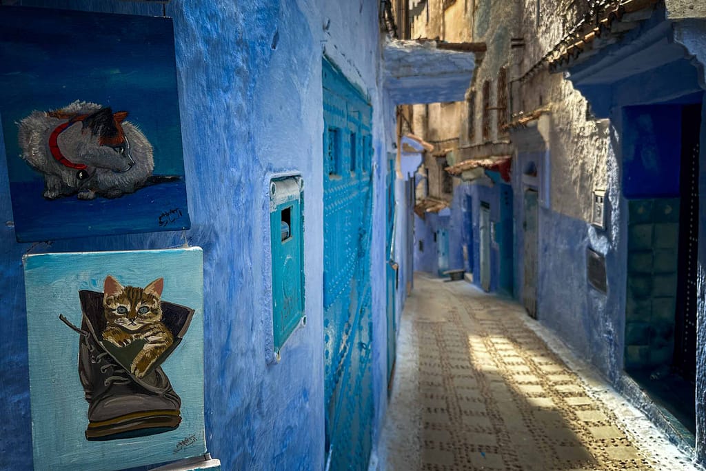 Chefchaouen ist blau und voller Kunst. Foto: Mario Vedder