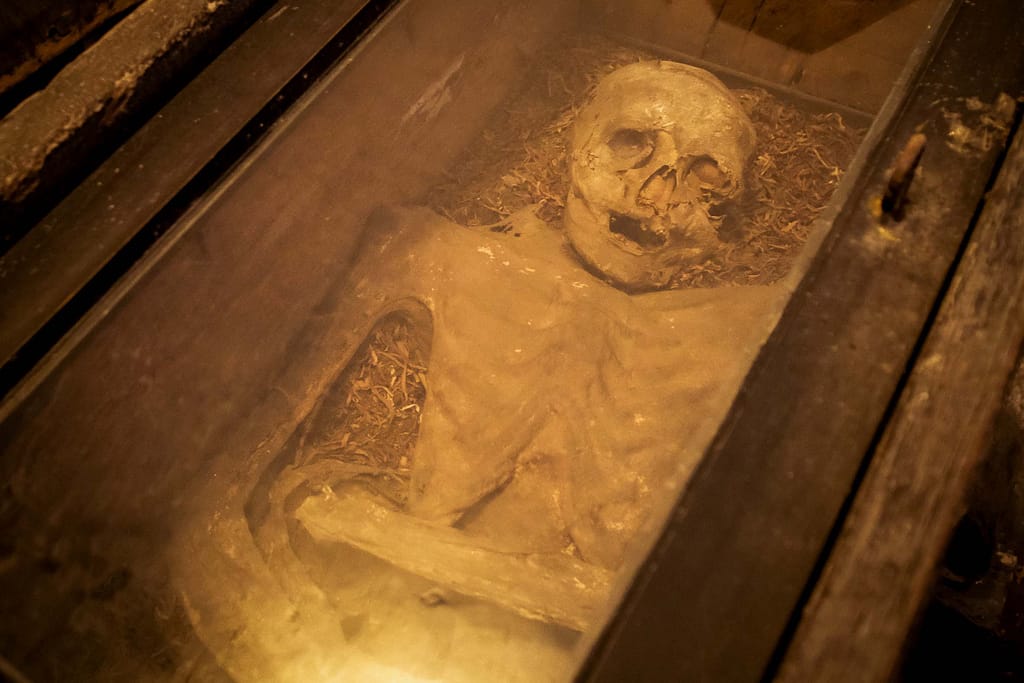 Fünf Särge lagern im Mumienkeller der Kirche Sankt Nicolaas in der niederländischen Provinz Friesland, vier Mumien sind offen zu sehen. Foto: Mario Vedder