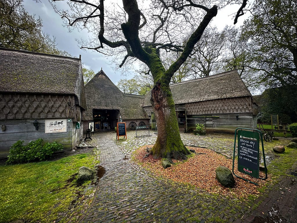 Auf den Spuren des niederländischen Malers Vincent van Gogh in der Provinz Drenthe. Foto: Mario Vedder