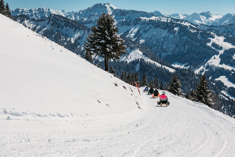 Rodeln auf der Naturrodelbahn Bezau von Baumgarten nach Sonderdach. Foto: Vorarlberg Tourismus/Patrick Dopfer