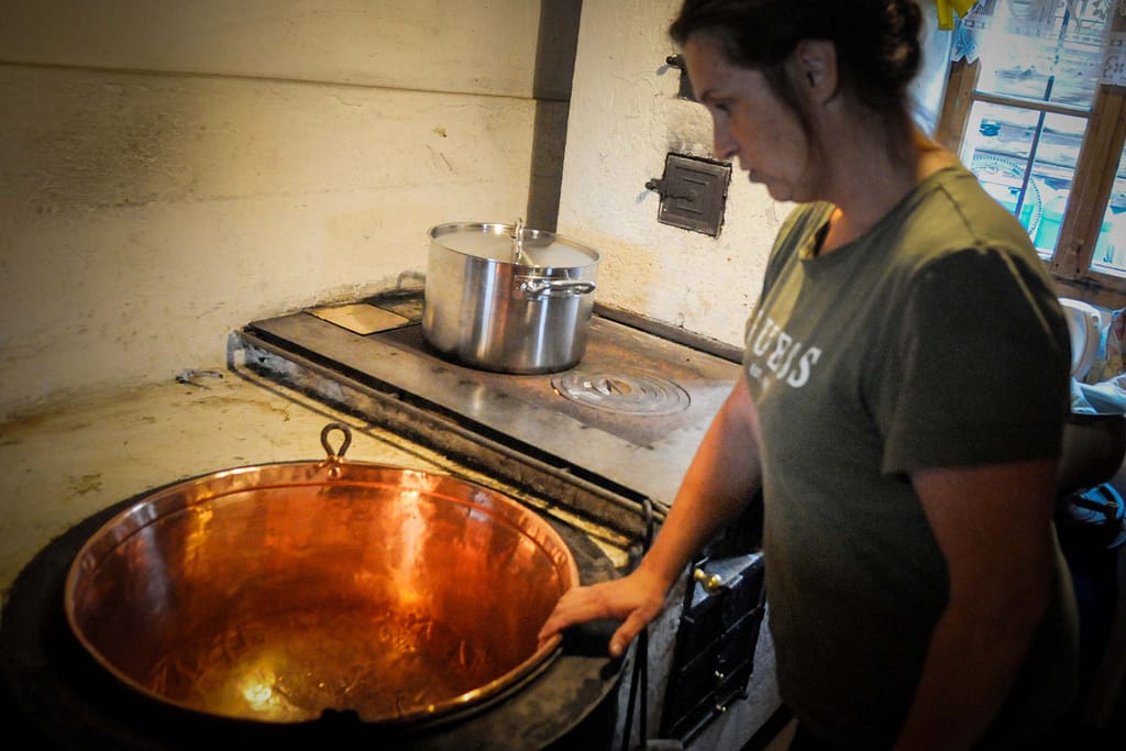 Es gibt viel zu tun auf der Alm, sagt Sennerin Anita. Foto: Oliver Abraham