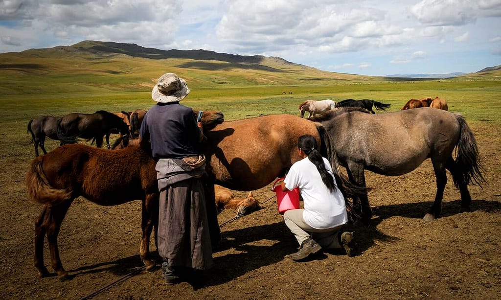Dschingis Khan Ausstellung Berlin 2026: Mongolisches Reich in der James-Simon-Galerie 9 Landleben in der Mongolei. Noch bis zum 18. April 2027 findet eine Dschingis Khan Ausstellung Berlin 2026 in der James-Simon-Galerie statt. Foto: Oliver Abraham