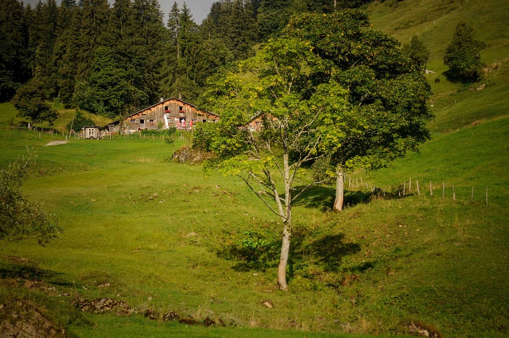 1 x Genuss pur bitte: Radtour zu Natur, Käse und Alm-Leben in den Alpen 14 1 x Genuss pur bitte: Radtour zu Natur, Käse und Alm-Leben in den Alpen – Travelling Journal