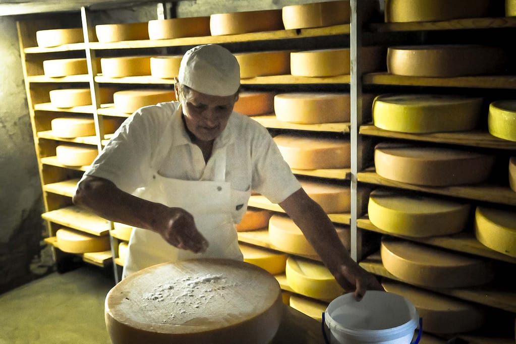 1 x Genuss pur bitte: Radtour zu Natur, Käse und Alm-Leben in den Alpen 23 Käse braucht vor allem Ruhe, aber er muss regelmäßig gepflegt werden. Foto: Oliver Abraham