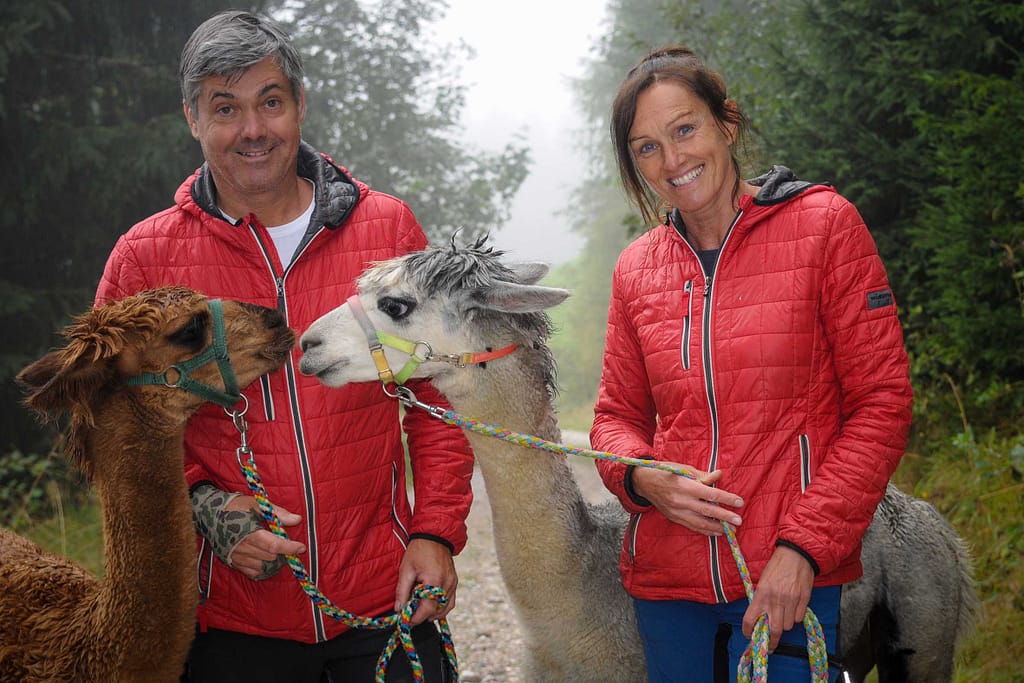 30 kleine Kamele auf der Alm: Alpaka Wanderungen sind Balsam für die Seele 13 Bernhard Maurer sowie Lebensgefährtin und Angestellte Ingrid Püls mit Eric und Bruno. Foto: Oliver Abraham