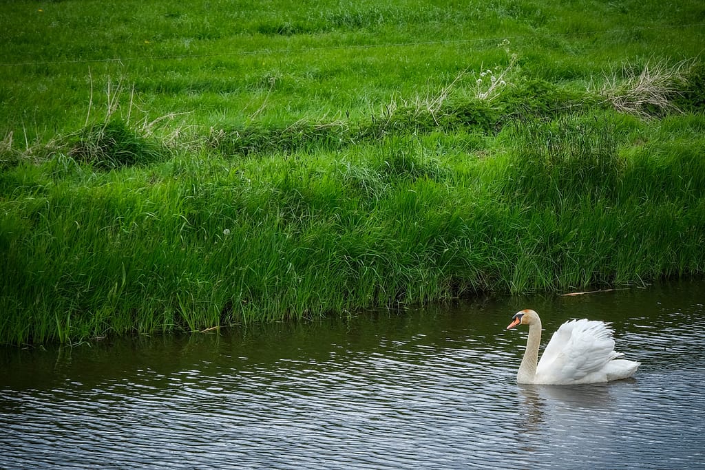 Van Gogh und Drenthe - Geheimnisse aus einer ursprünglichen Welt 25 Van Gogh und Drenthe - Geheimnisse aus einer ursprünglichen Welt – Travelling Journal