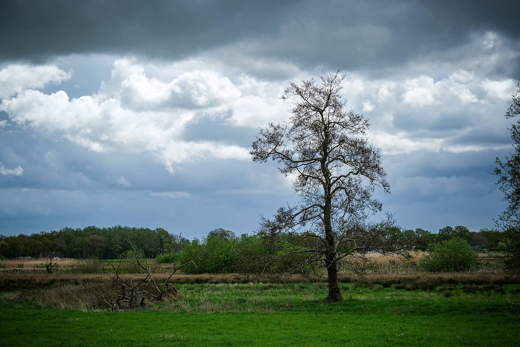 Van Gogh und Drenthe - Geheimnisse aus einer ursprünglichen Welt 1 Auf den Spuren des niederländischen Malers Vincent van Gogh in der Provinz Drenthe. Foto: Mario Vedder