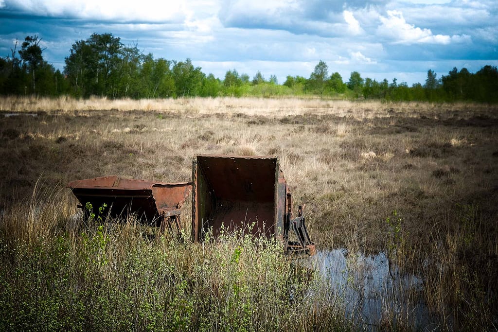 Vincent van Gogh: seine Faszination für Moore und die Ur-Landschaft in Drenthe 7 Moore sind wertvolle Lebensräume. Foto: Mario Vedder