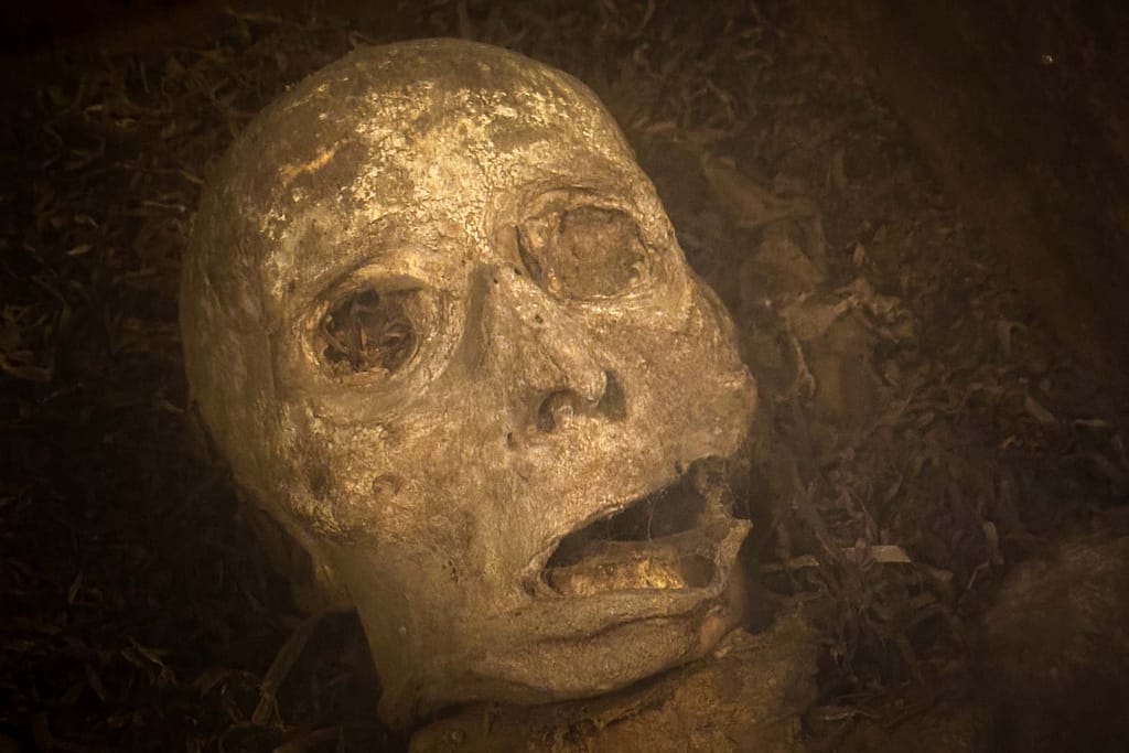 Die Mumien von Wiuwert – Ein mysteriöses Geheimnis in Friesland 10 Die Mumien von Wiuwert – Ein mysteriöses Geheimnis in Friesland – Travelling Journal