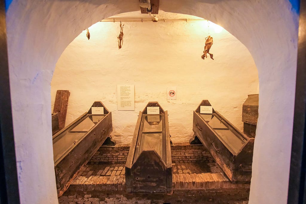 Die Mumien von Wiuwert – Ein mysteriöses Geheimnis in Friesland 13 Die Körper sind auf natürliche Weise zu Mumien geworden, sie sind ausgetrocknet. Foto: Mario Vedder