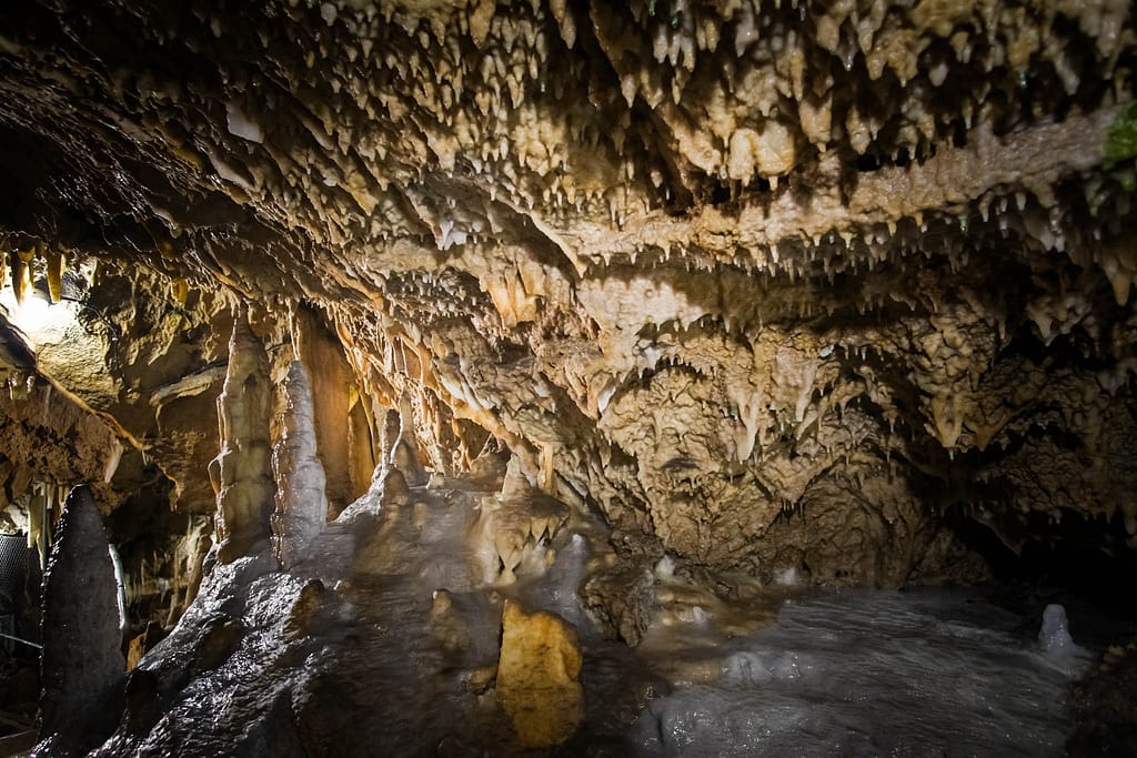 Atta-Höhle im Sauerland: Märchenhafte Tropfsteinwelt unter den Bergen 7 Faszination Atta-Höhle. Foto: Mario Vedder