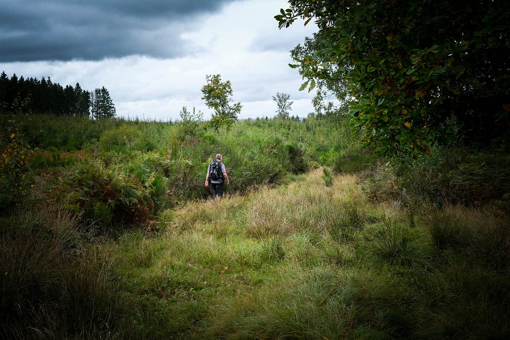 Ardennen in Belgien: Wandern im Forêt d'Anlier und Glamping bei Nutchel 4 Wandern Ardennen Belgien Forêt d'Anlier