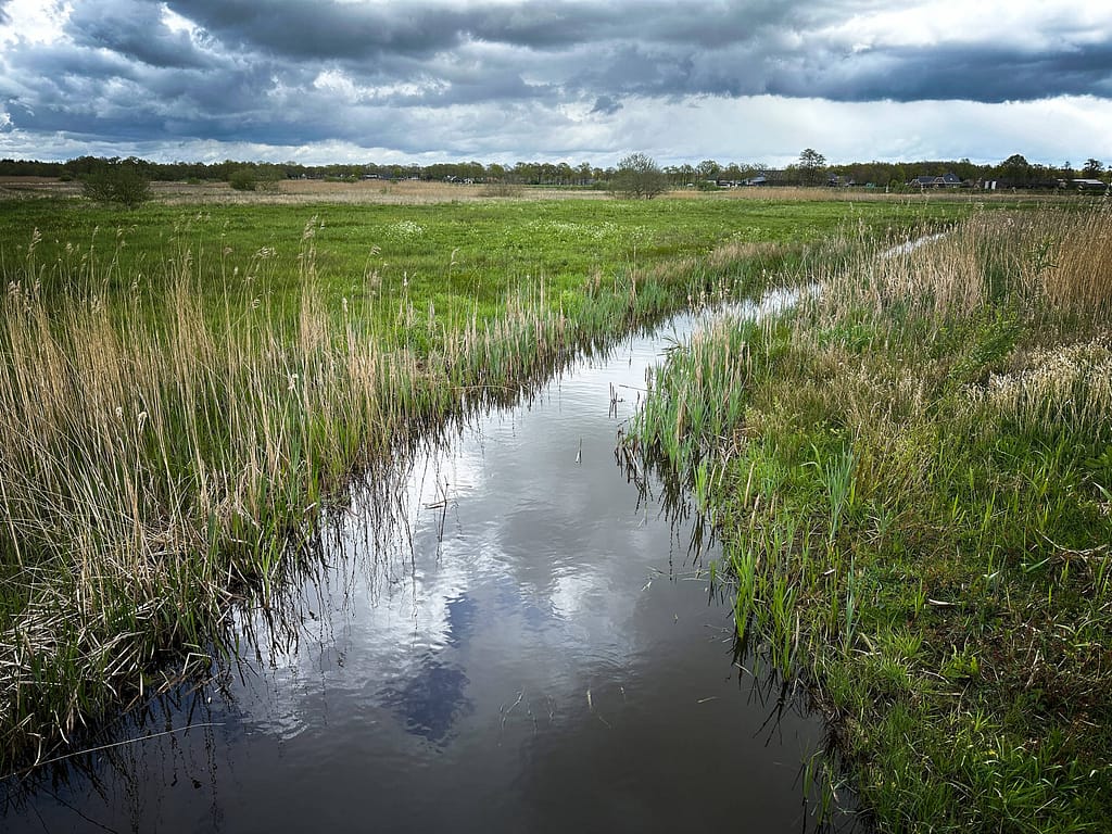 Van Gogh und Drenthe - Geheimnisse aus einer ursprünglichen Welt 30 Van Gogh und Drenthe - Geheimnisse aus einer ursprünglichen Welt – Travelling Journal