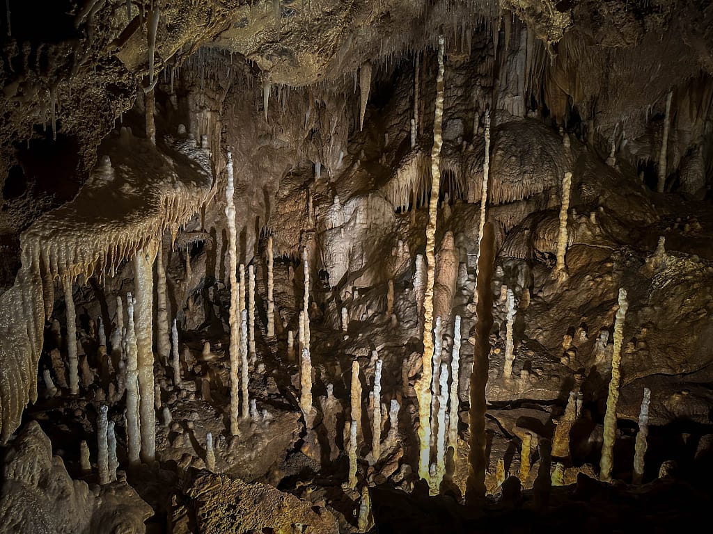 Atta-Höhle im Sauerland: Märchenhafte Tropfsteinwelt unter den Bergen 5 Formationen dünn wie Macaroni hängen in der Atta-Höhle. Foto: Mario Vedder