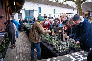 Schneeglöckchen-Tage Kloster Knechtsteden: Zarte Lichtblicke im Wintergrau 7 Hobbygärtner begutachten verschiedene Schneeglöckchen-Sorten auf den Schneeglöckchen-Tagen im Kloster Knechtsteden. Foto: Mario Vedder