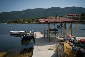 Austern in Ston: Kroatiens kulinarischer Geheimtipp an der Adria 2 Austern Ston Kroation, die besondere Zucht.