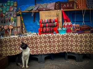 Asilah, Marokko: Die Kunst, durch Kunst eine Stadt wiederzubeleben – Vision am Atlantik 16 Eine Katze liegt entspannt in einer Gasse der Medina von Asilah, vor einem Laden mit Handarbeiten.