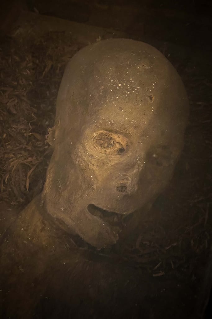 Die Mumien von Wiuwert – Ein mysteriöses Geheimnis in Friesland 9 Die Mumien von Wiuwert – Ein mysteriöses Geheimnis in Friesland – Travelling Journal