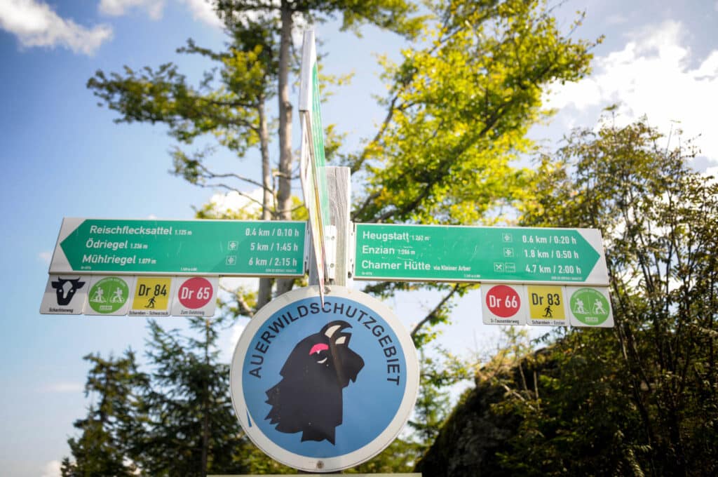 Auerhuhn im Bayerischen Wald: Wandern auf den Spuren seltener Vögel 7 Hinweisschild zur Besucherlenkung im Nationalpark Bayerischer Wald, das auf den Schutz des Auerhuhns und seiner Ruhezonen aufmerksam macht. Foto: Oliver Abraham