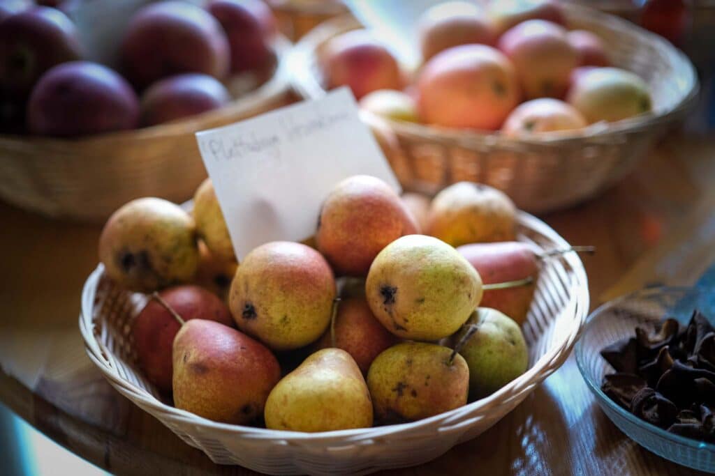 Märkische Spezialitätenbrennerei: Obstbrände retten alte Streuobstsorten im Sauerland 8 Die unscheinbare "Plettenberger Herrenbirne" entfaltet ihr wahres Aroma erst im Destillat. Foto: Mario Vedder