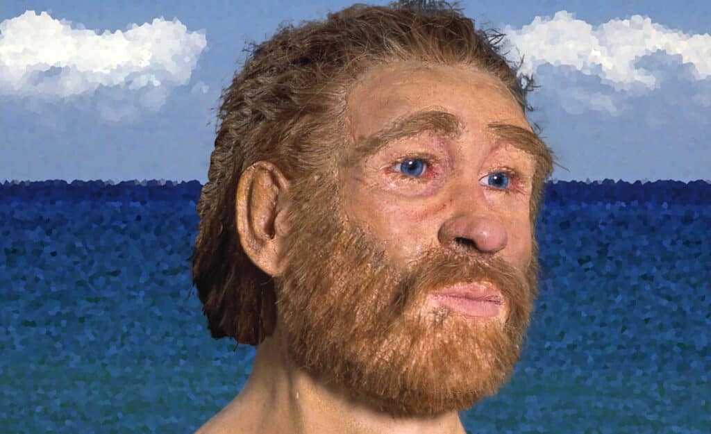 Der Rote Franz und das Geheimnis der Moorleichen im Emsland 5 Eine Gesichtsrekonstruktion von Richard Neave zeigt, wie Deutschlands wohl berühmteste Moorleiche, „der Rote Franz“ einmal ausgesehen haben könnte. Foto: Landesmuseum Hannover