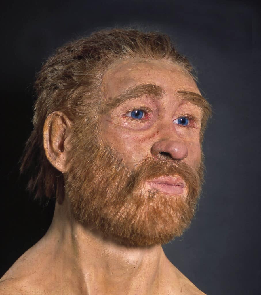 Der Rote Franz und das Geheimnis der Moorleichen im Emsland 8 Eine Gesichtsrekonstruktion von Richard Neave zeigt, wie Deutschlands wohl berühmteste Moorleiche, „der Rote Franz“ einmal ausgesehen haben könnte. Foto: Landesmuseum Hannover