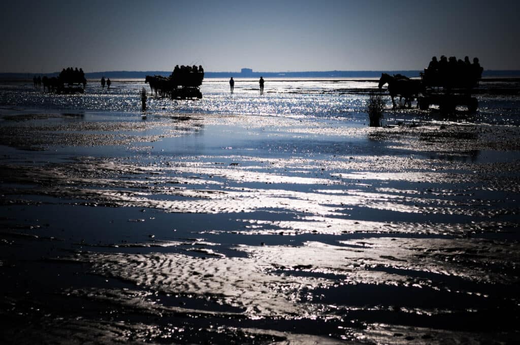 Neuwerk Wattwanderung: Abenteuer zur Hamburger Insel ab Cuxhaven 5 Lichtspiele auf dem Weg Richtung Neuwerk, zu dieser Insel da draußen, die kurioserweise zu Hamburg gehört. Foto: Oliver Abraham
