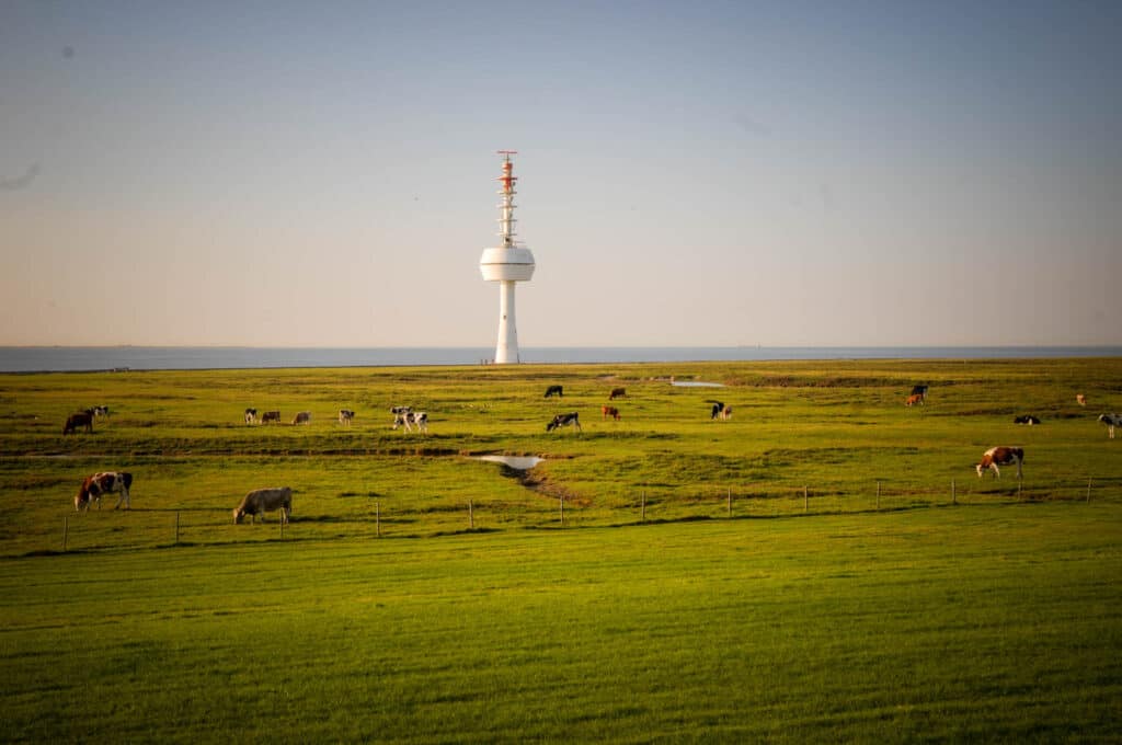 Neuwerk Wattwanderung: Abenteuer zur Hamburger Insel ab Cuxhaven 9 Wattwanderung zur Insel Neuwerk vor Cuxhavent. Foto: Oliver Abraham