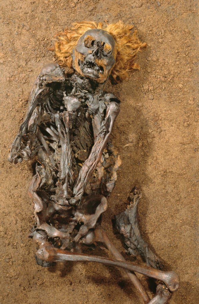 Der Rote Franz und das Geheimnis der Moorleichen im Emsland 7 Die Gesamtansicht des „Roten Franz“ im Landesmuseum in Hannover. Foto: Landesmuseum Hannover