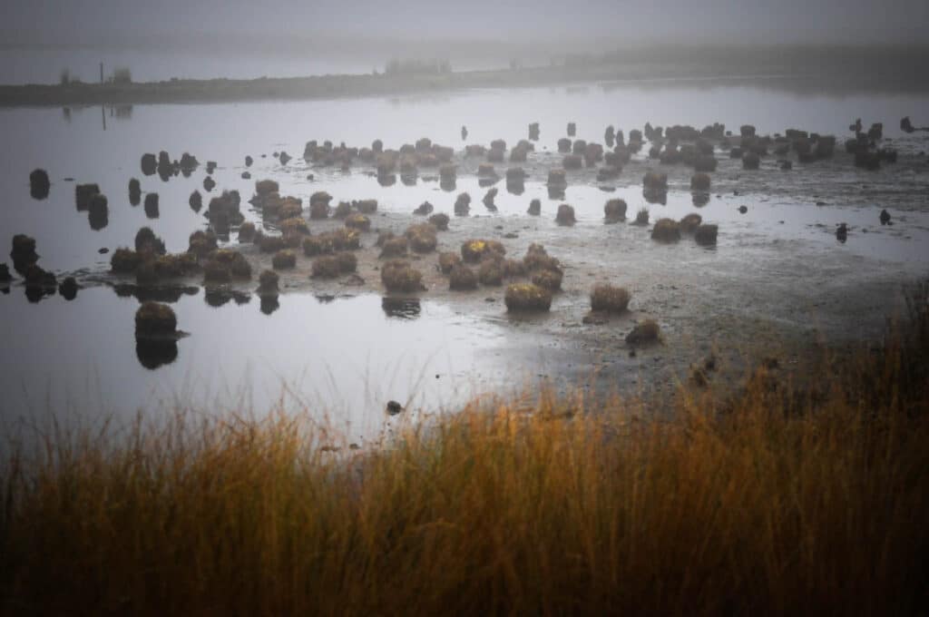 Der Rote Franz und das Geheimnis der Moorleichen im Emsland 9 Nebel über den Wasserflächen im Wietmarscher Moor. Foto: Oliver Abraham