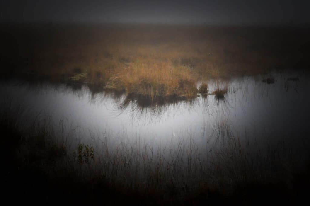 Der Rote Franz und das Geheimnis der Moorleichen im Emsland 12 Nebel über den Wasserflächen im Wietmarscher Moor. Foto: Oliver Abraham