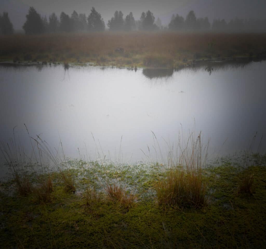 Der Rote Franz und das Geheimnis der Moorleichen im Emsland 3 Nebel über den Wasserflächen im Wietmarscher Moor. Foto: Oliver Abraham