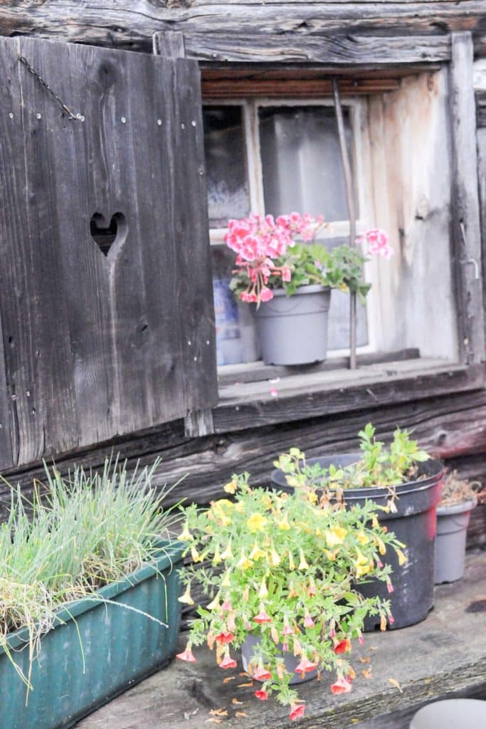 Die Moosalm in Werfenweng: Authentisches Almleben im Salzburger Land 3 Die Moosalm in Werfenweng: Authentisches Almleben im Salzburger Land. Foto: Oliver Abraham