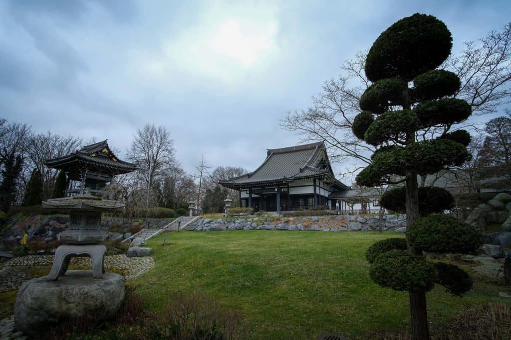 Little Tokyo in Düsseldorf: Kulinarische Entdeckungsreise durch Japans Kultur 10 Der Tempelgarten. Foto: Mario Vedder
