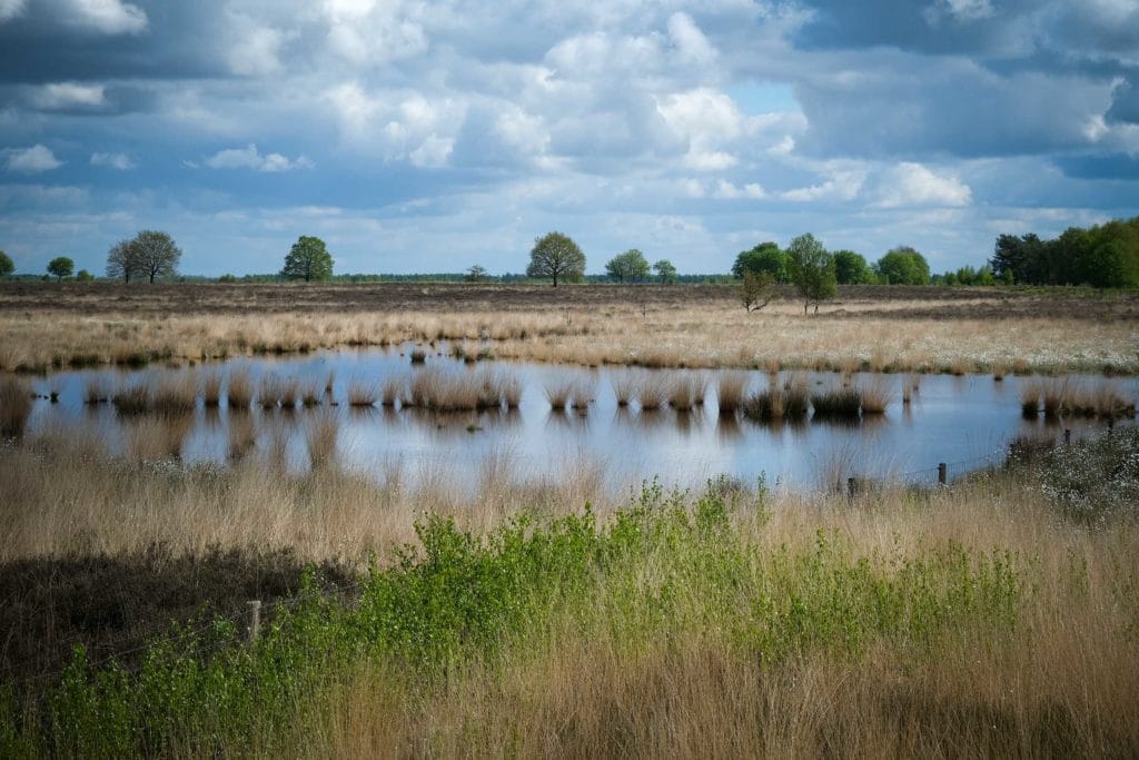 Auf den Spuren von Vincent van Gogh in Drenthe 14 Ein Landschaftsmosaik, gefällig auch fürs Auge. Schönwetterwolken segeln vorüber. Foto: Mario Vedder