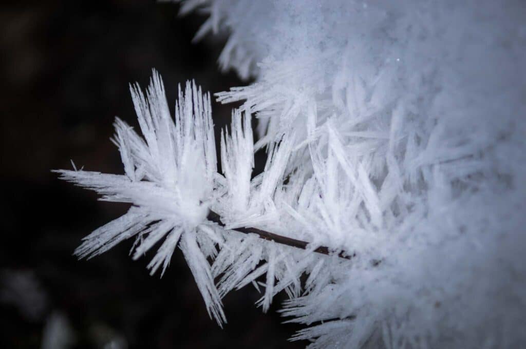 Christstollen aus dem Bergwerk Ramsbeck: Ein Sauerländer Genuss-Geheimnis 2 Winterliche Stille und Eiskunst im Sauerland. Foto: Oliver Abraham